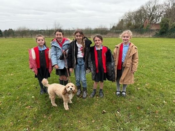 Walking for a Cause: Lottie the Cavapoochon Racks Up Big Miles and Funds for Charity!