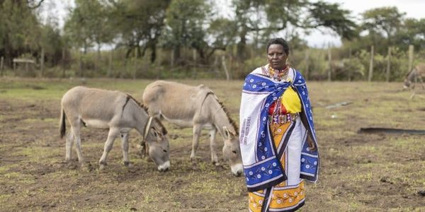 Meet The Women's Group Protecting Kenya's Donkeys