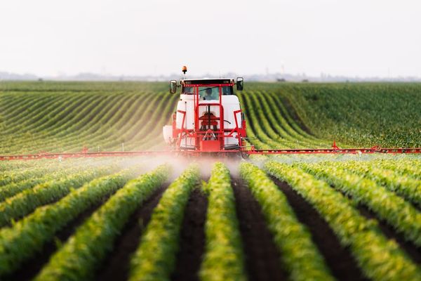New Spray Technology Could Boost Crop Efficiency and Cut Pesticide Waste