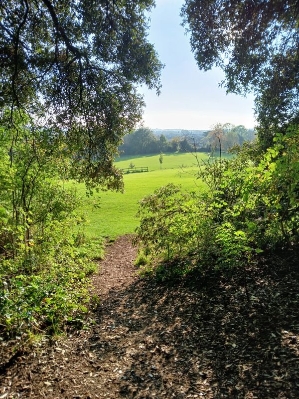 How Nature Can Help Relieve Physical Pain