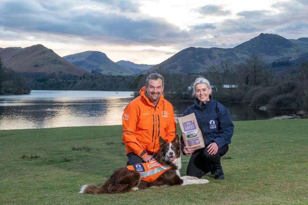 Dog’s Best Friend: Pet Brand Joins Forces with Lake District Search Team