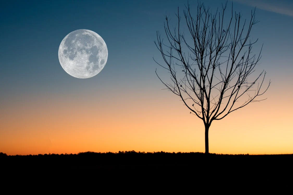 Solar Cells Made from Moon Dust Could Power Future Space Missions