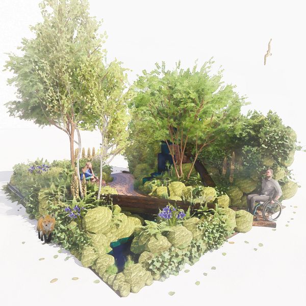 RHS Chelsea Flower Show’s Magical Rainforest Garden Finds Forever Home