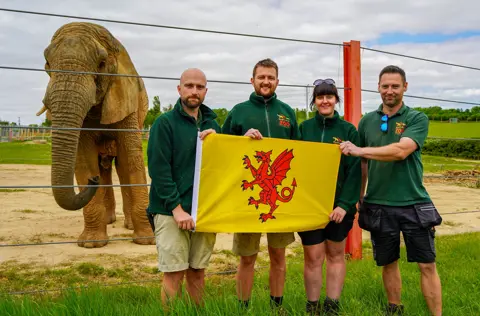 Big Ears, Big Cheers: Noah's ark Celebrates Somerset Day with The Herd