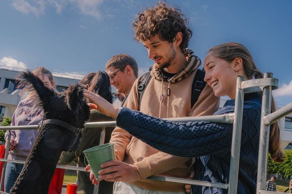 DeStresstival Supports Over 2,000 Warwick Students Through Exam Season