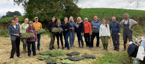 Cumbria's Wildflower Boom: Over 125,000 Plants Boost Habitats for Pollinators