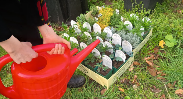 Garden Project Springs Back to Life (By Megan)