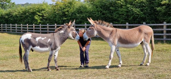 Donkeys, Downtime & Deep Breaths: A Sanctuary for the Frontline