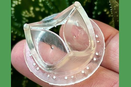 New Heart Valve Using Plastic Material is Safe Following Six-Month Testing, Study Suggests