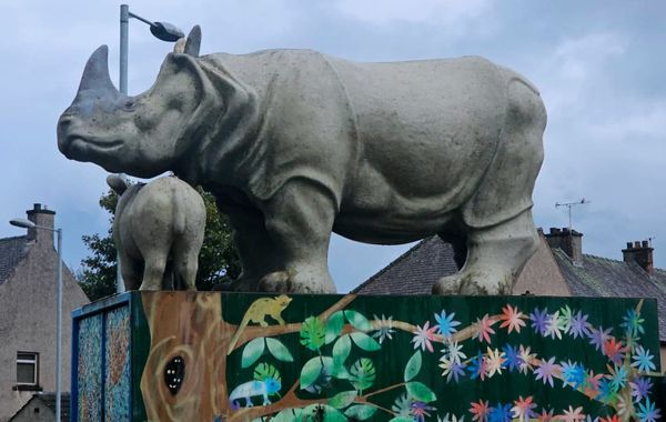 Dumfries Rhino Gets a Dazzling Dry Ice Makeover to Kick Off Town Clean-Up