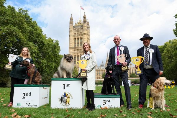 Tamworth MP’s Dog Crowned Winner at Westminster Dog of the Year