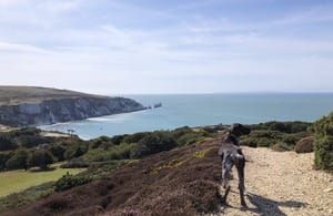 First Parts of King Charles III Coast Path Opens on Isle of Wight