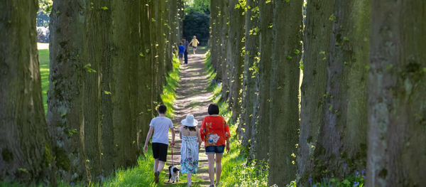 Surge in 18–25-year-old New Members as National Trust Annual Report Reveals Growth of 39%
