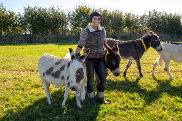 From Glitterball to Donkey Calls: Flavia Cacace Dances into Sanctuary Life