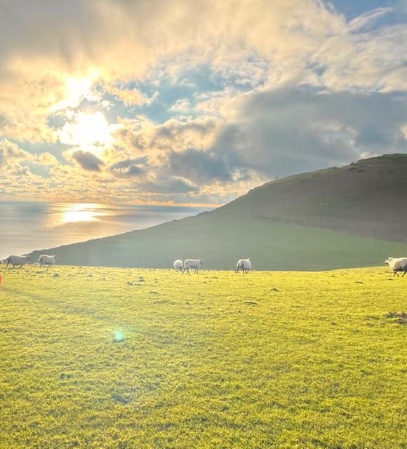 The Wildlife Trusts Celebrate Growth of Green Careers for Young People