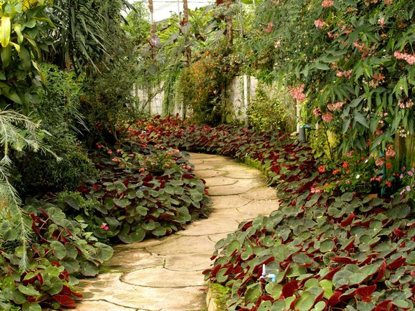 YoungMinds to Create First-Ever Garden at RHS Chelsea Flower Show 2026