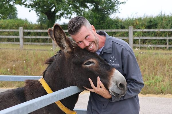 From California to Devon: Donkey King Star Praises ‘Gold Standard’ Care