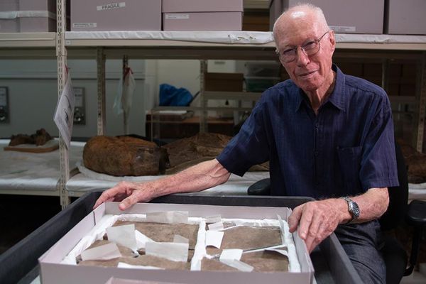 Brisbane Dinosaur Fossil is Australia’s Oldest
