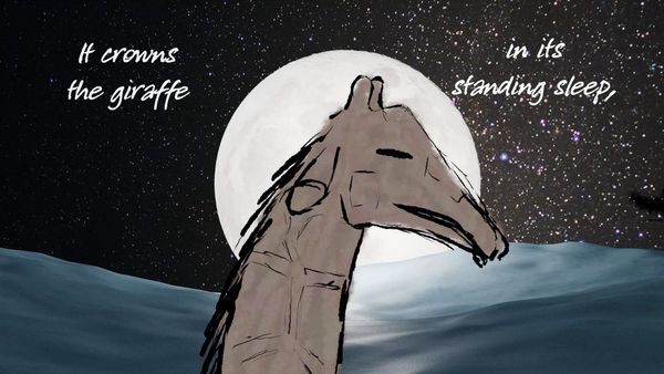 Poet Laureate Marks Zoo Giant’s 200 Years With Powerful New Nature Poem