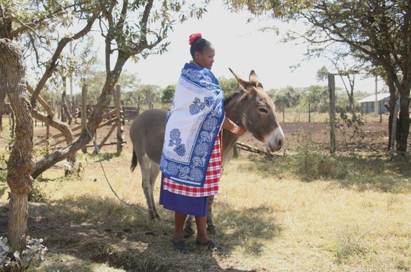 The Donkey Sanctuary Scoops National Film Award