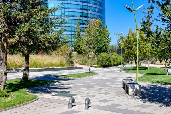 Urban Parks Shown to Cool Cities and Reduce Pollution Beyond Their Boundaries, Study Finds