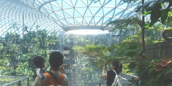 Top 3 Things to Do at Singapore Airport During a Long Layover (By Ethan, 18)