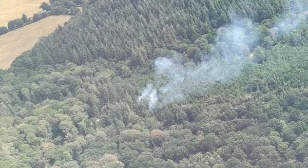 Volunteer Pilots Help Spot Wildfires Early During UK Heatwave