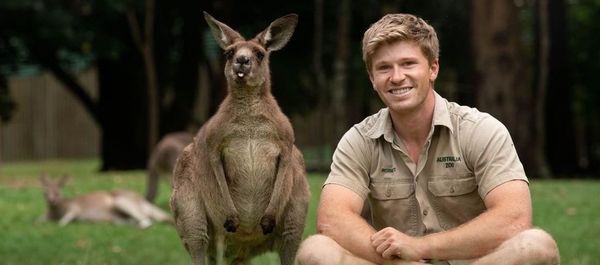 Australia Zoo’s ‘Queen Sapphire’ celebrates her 20th birthday