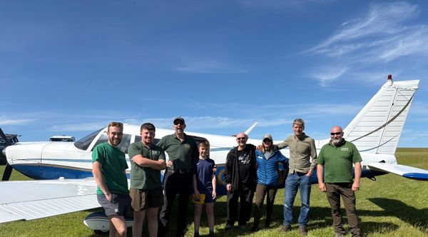Six young white-tailed eagles return to Exmoor after more than 200 years