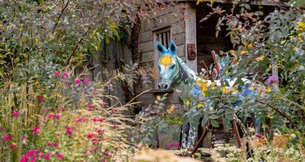 Gardeners’ Question Time gets a very special Devon setting