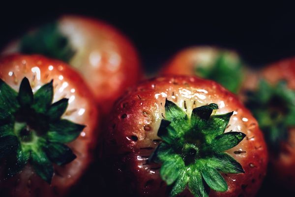 Berry clever! New seaweed coating could stop strawberries going mouldy