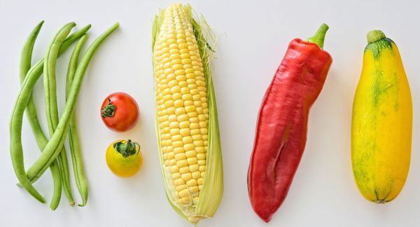 Food charities join forces to rescue millions more meals from going to waste