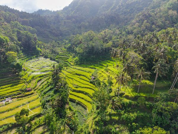What Bali taught me about the power of community