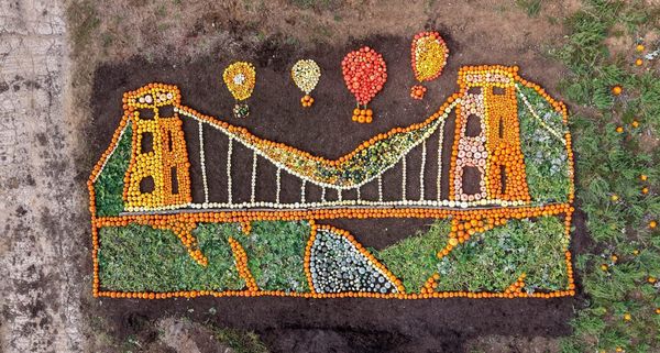 From elephant poo to a pumpkin bridge: Noah’s Ark harvest gets creative