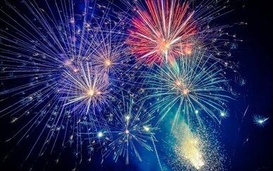 Could the UK soon have good news for all animals with low noise fireworks? Noah’s Ark Zoo Farm hopes so