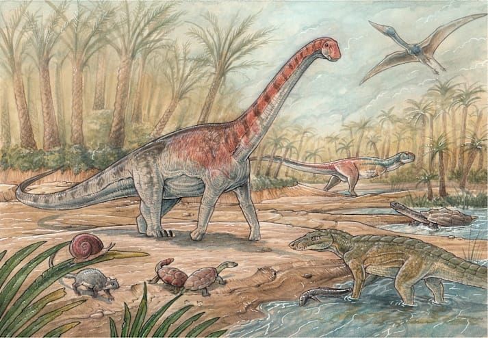 New “Gentle Giant” Dinosaur Uncovered in Patagonia Alongside Rare Collection of Ancient Life