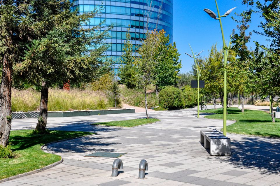 Urban Parks Shown to Cool Cities and Reduce Pollution Beyond Their Boundaries, Study Finds