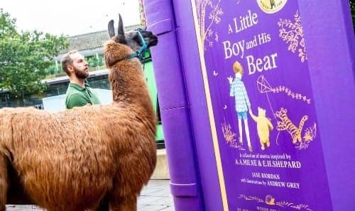 Llama Ande discovers giant Winnie-the-Pooh storybook at London Zoo