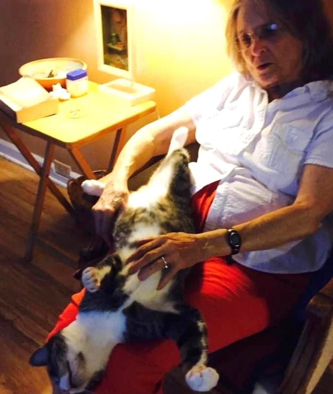 17-pound Sweetie Boy the cat is sprawled out on Brooke's lap, her hand stroking the fur on his chest while he stretches his legs in both directions