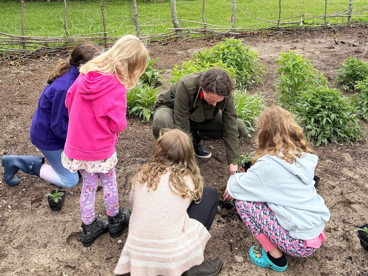 Scatter Some Seeds, See What Grows