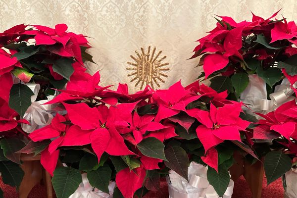 Undignified, Outrageous Joy to the World