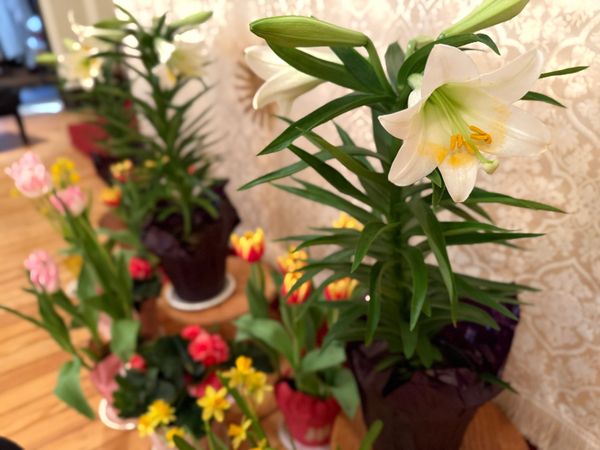 The Ending of this Comedy: Love Wins