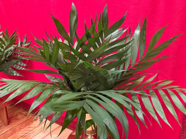 Letting These Stories Define Our Reality