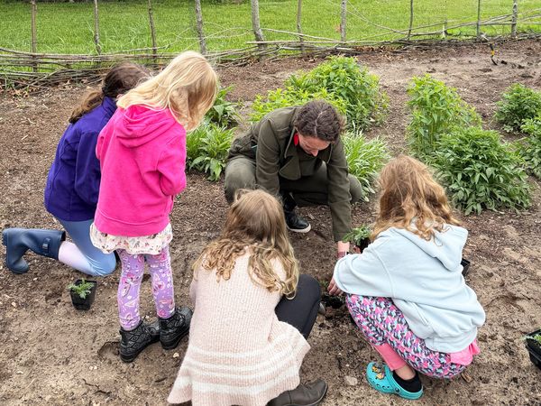 Scatter Some Seeds, See What Grows