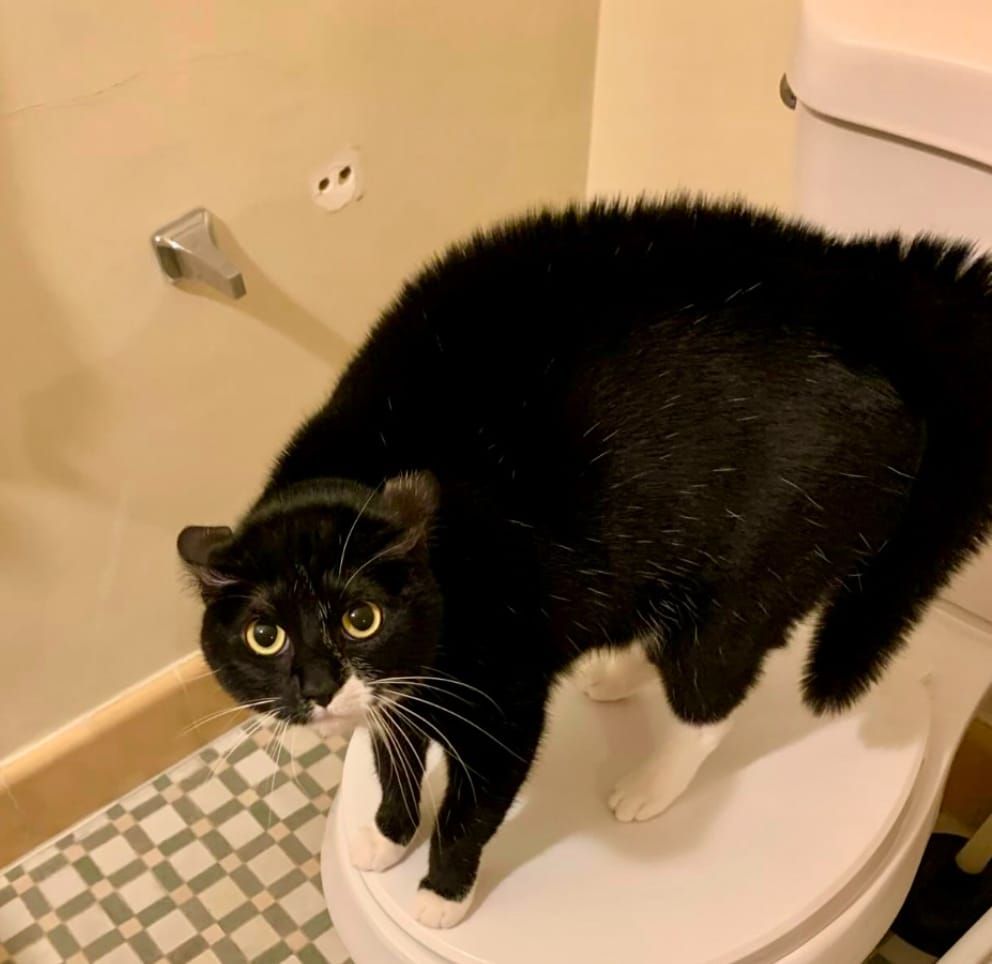 Full Halloween decoration