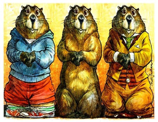 Picture Book Update!