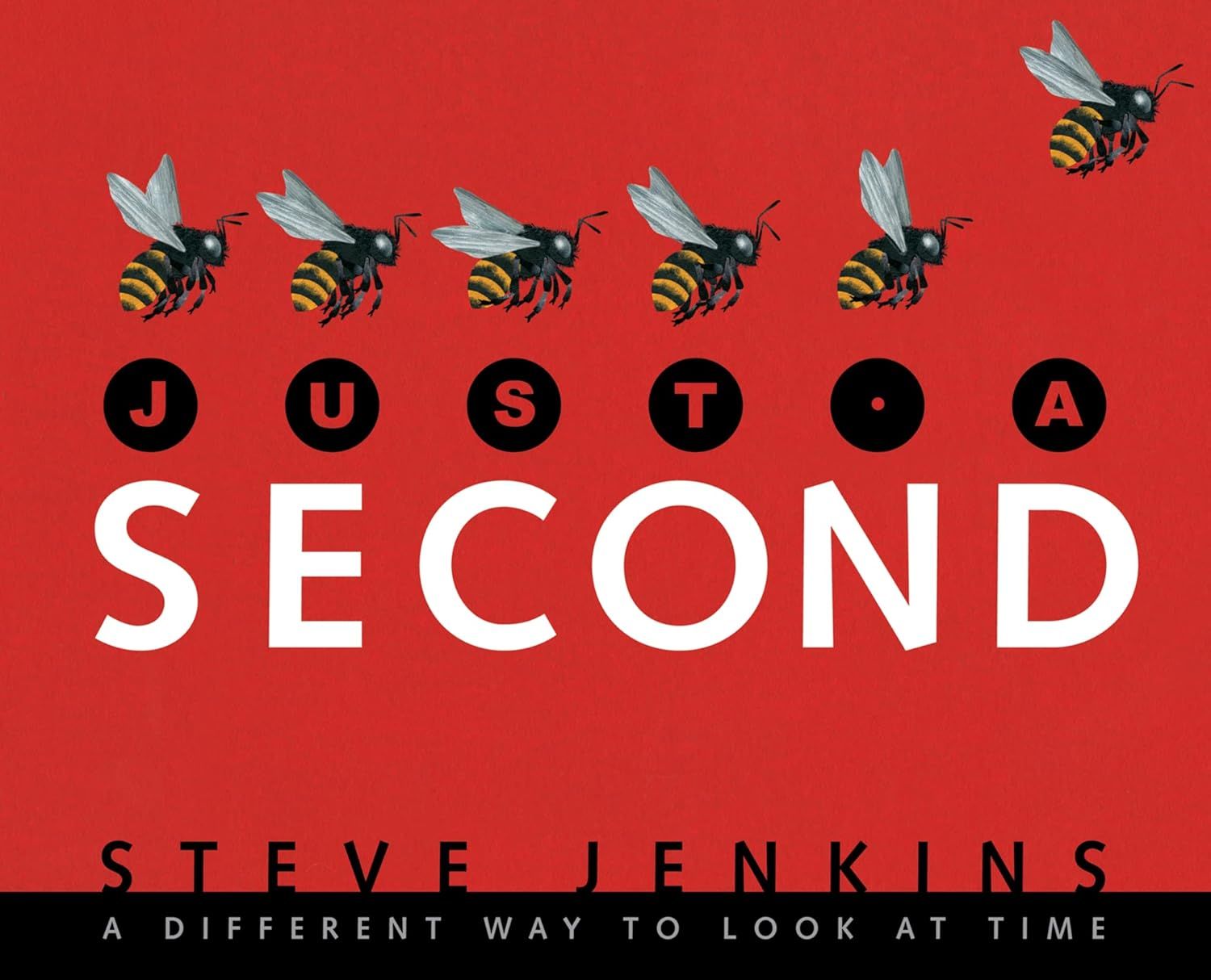 Just a Second: a different way to look at time