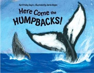 Here Come the Humpbacks!