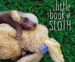 A Little Book of Sloth