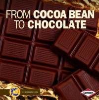 From Cocoa Bean to Chocolate